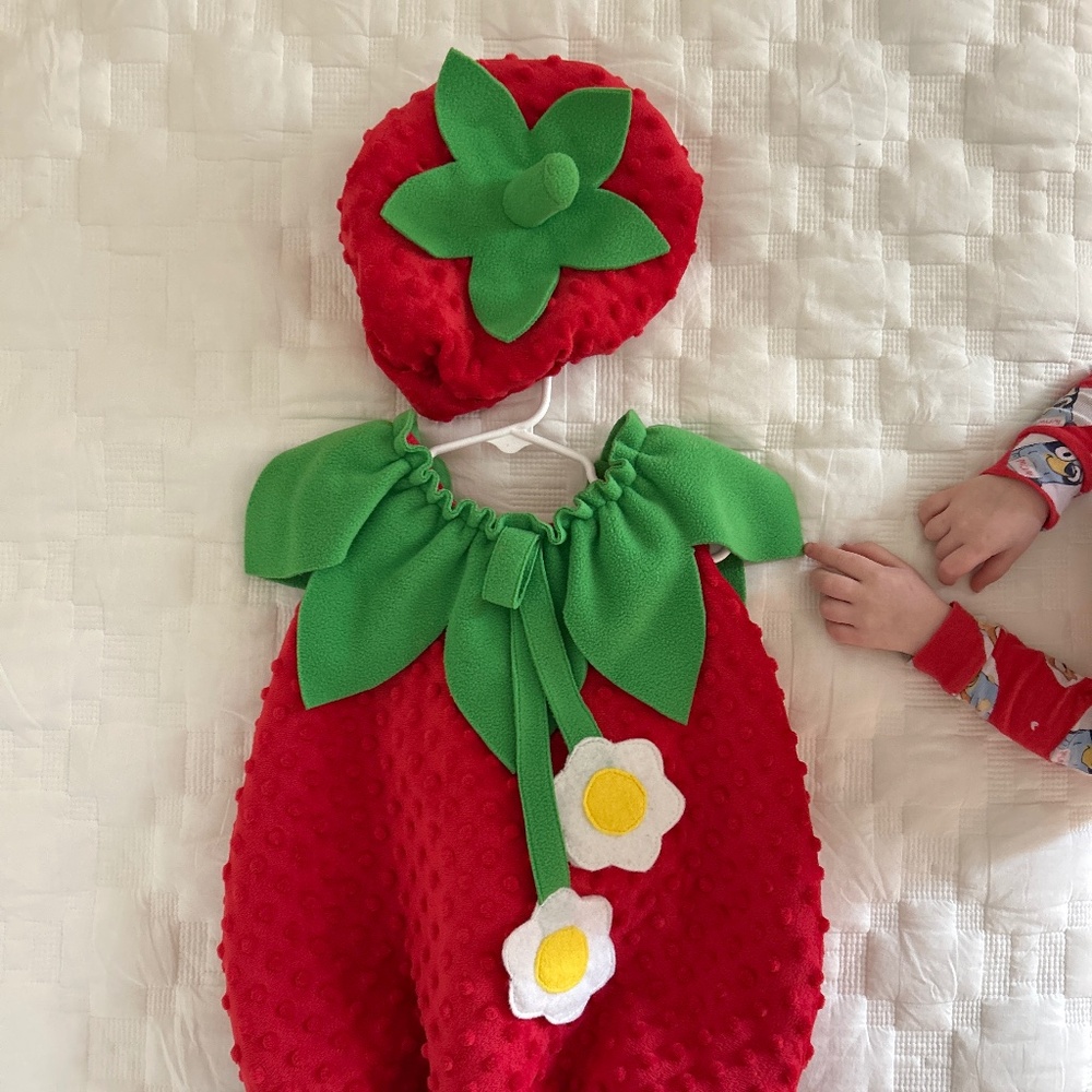 Strawberry Costume for Kids - Red and Green